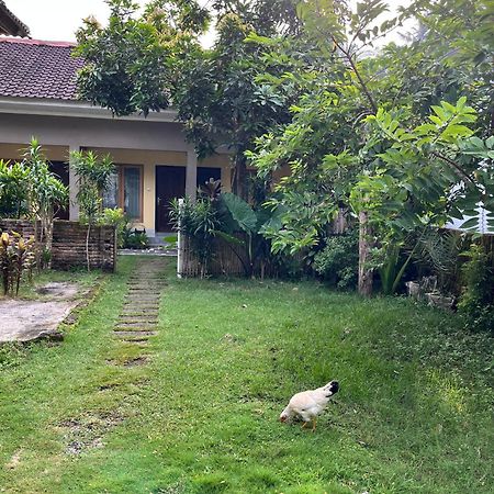 Honey Home Kuta  Esterno foto