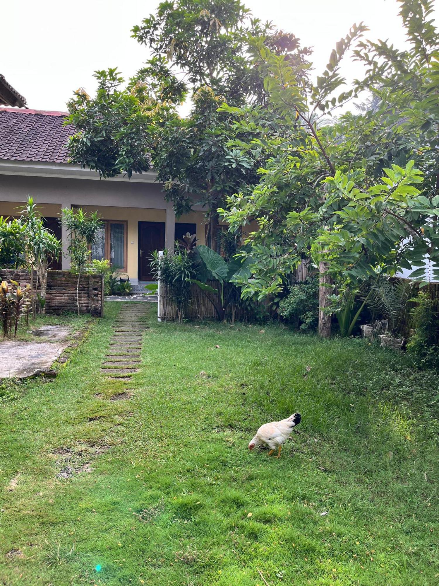 Honey Home Kuta  Esterno foto