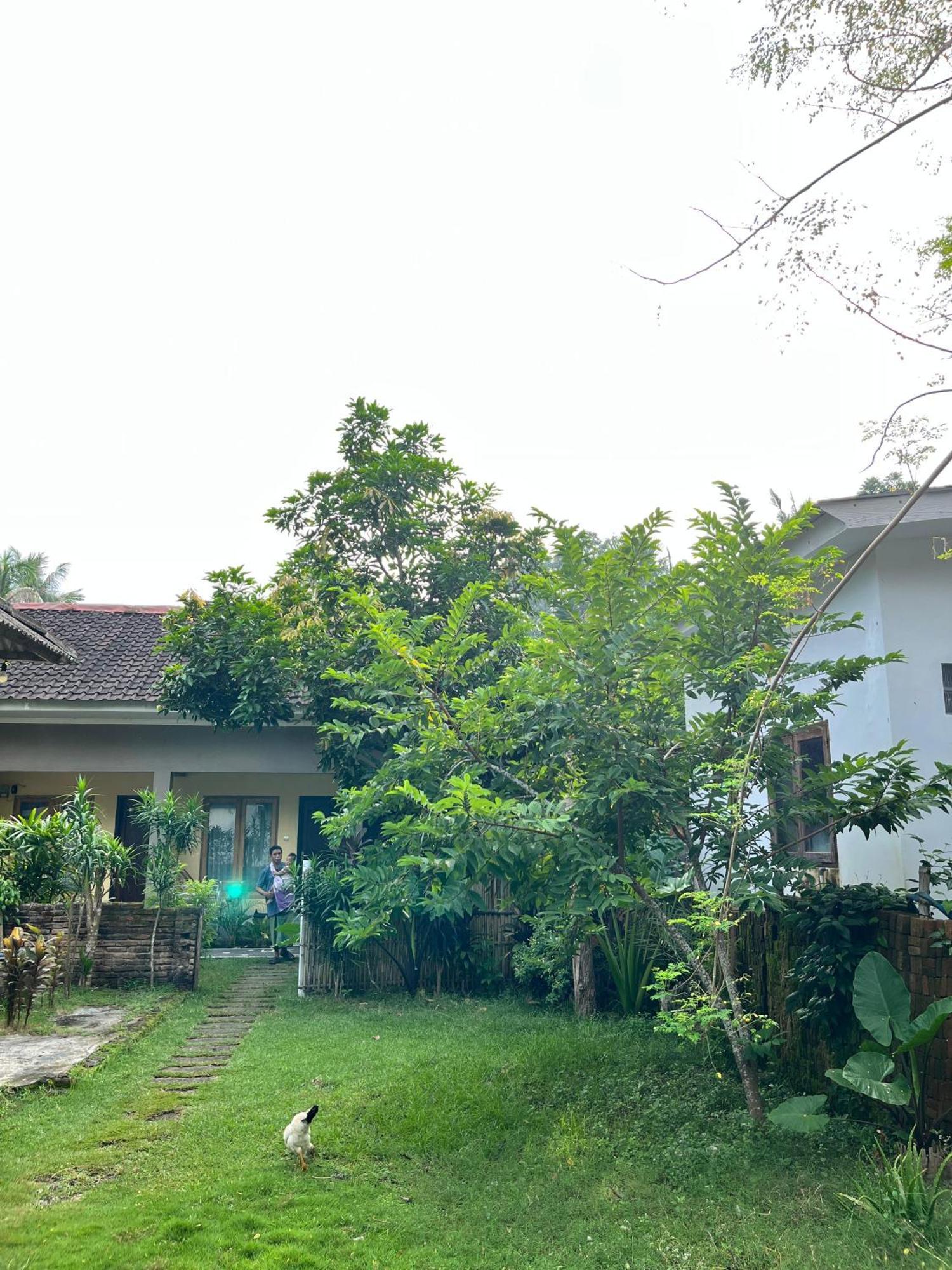 Honey Home Kuta  Esterno foto
